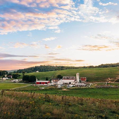 Downtown Escape Great For Large Families & Groups Villa Sugarcreek Eksteriør billede